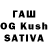 Галлюциногенные грибы Psilocybine cubensis MEDVEZONOK 23