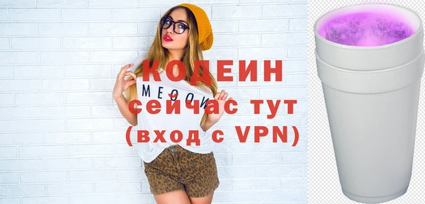 МДПВ Иннополис