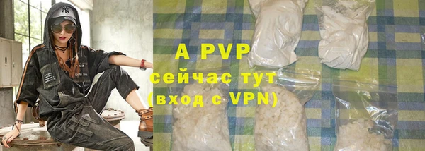 гашик Каменногорск