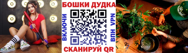 Каннабис MAZAR Бородино